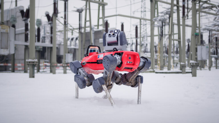 Copie de Copy of ANYmal snow